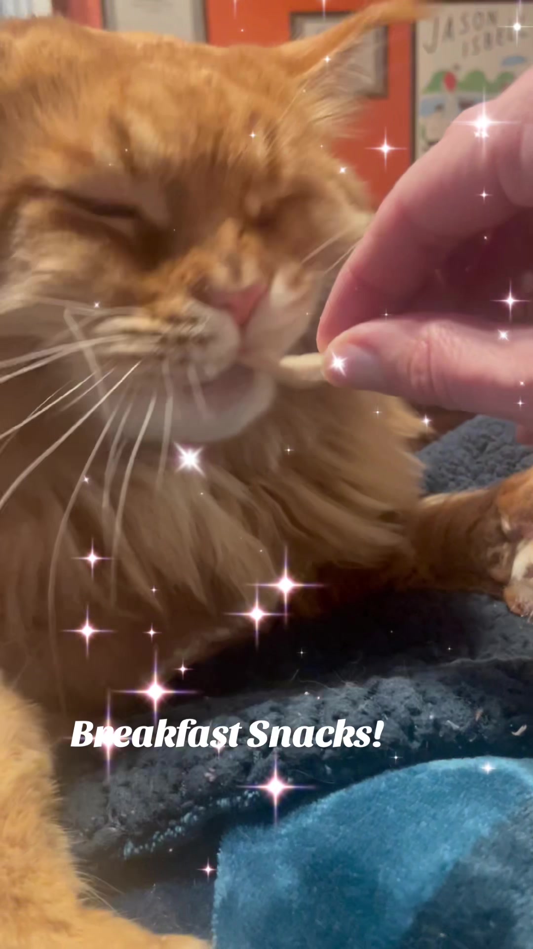 @Theodore Scritches McWiggles