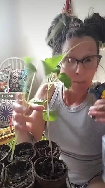 @🍃🍄🍞 Kellyann🇨🇦