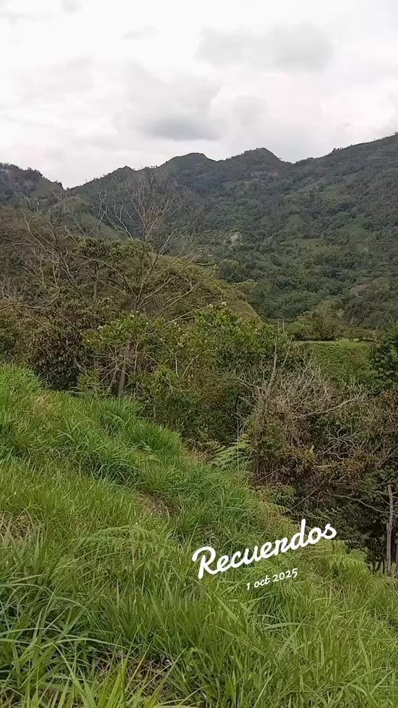@Geovany santos