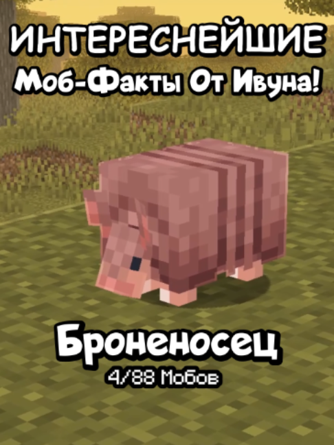@KompotikIvun