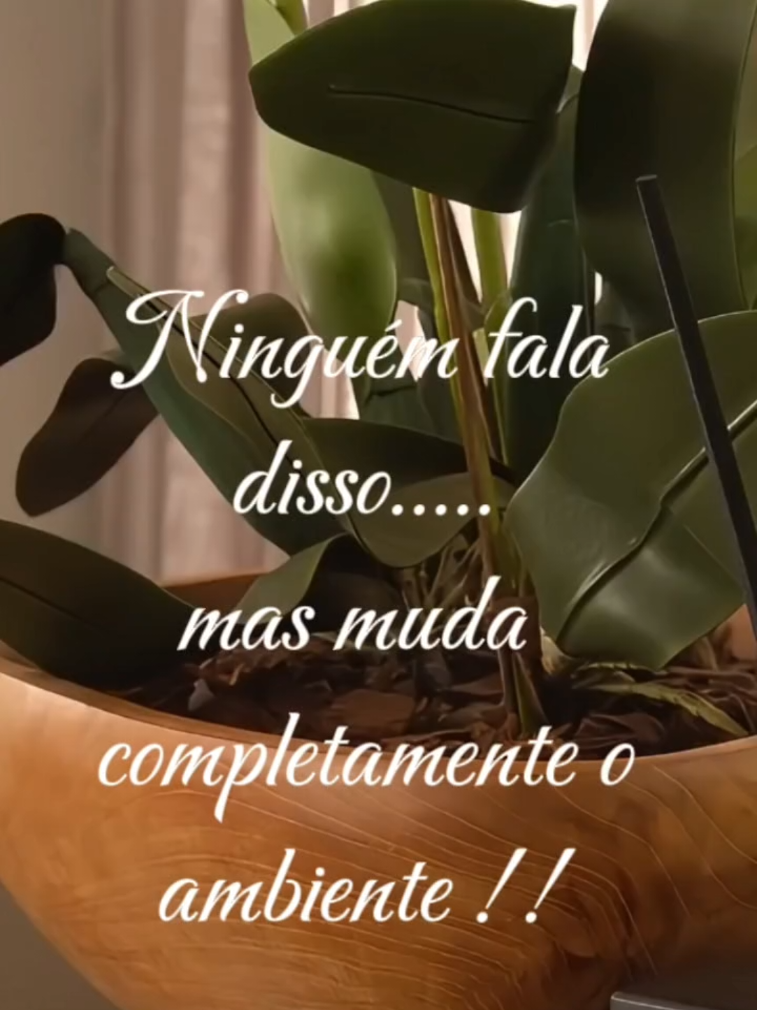 @V&oacute; Moderna|Maria Bonita