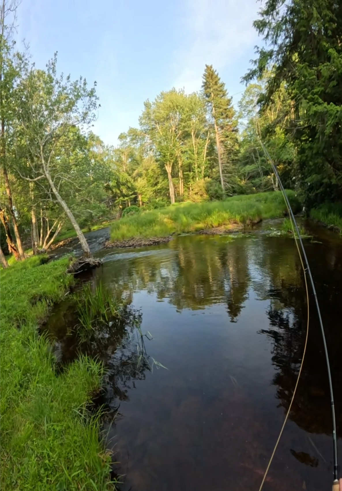 @FlyFishDelawhere