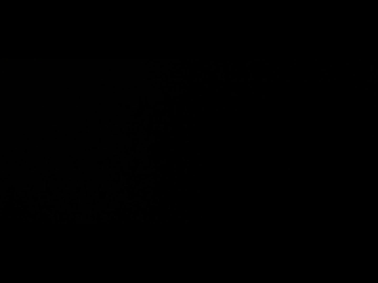 @temazos.ep 𖣂