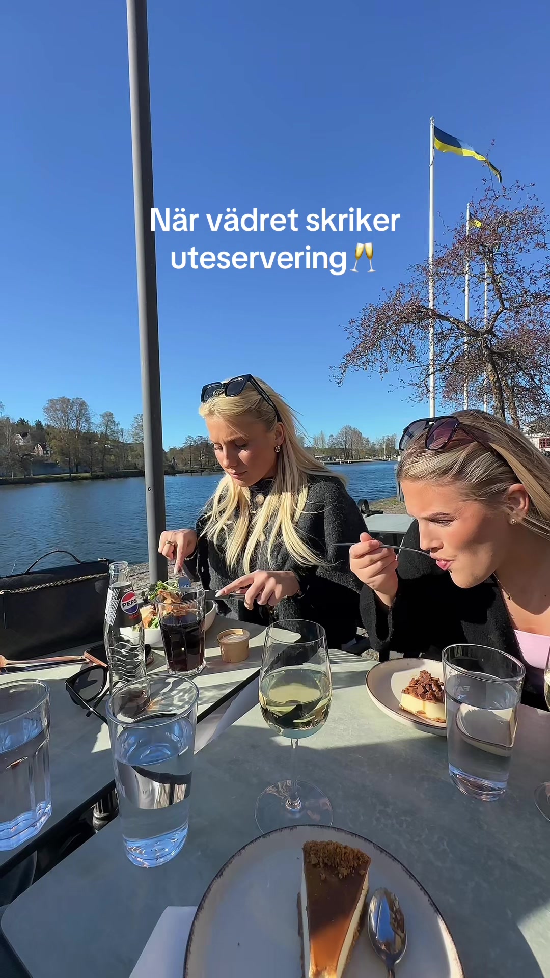 @majdaalisic1