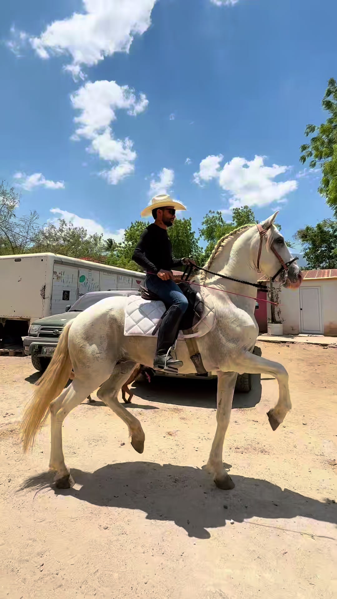 @reydelcaballo.gt