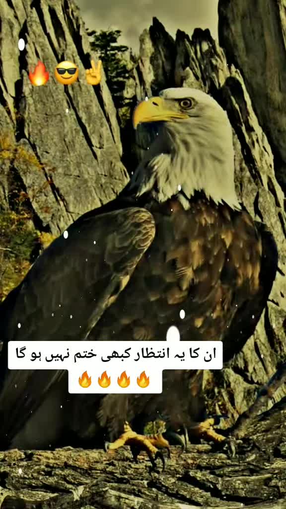 @Nasir 786