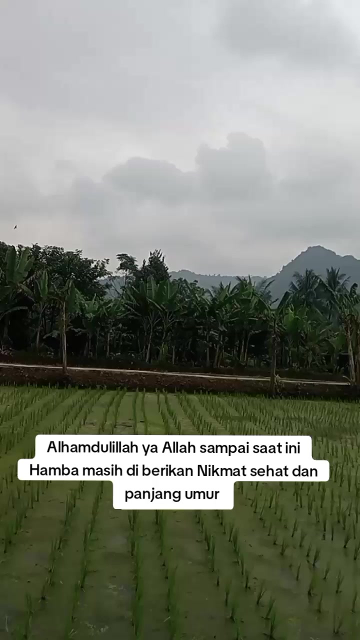 @Tatang Wijaya