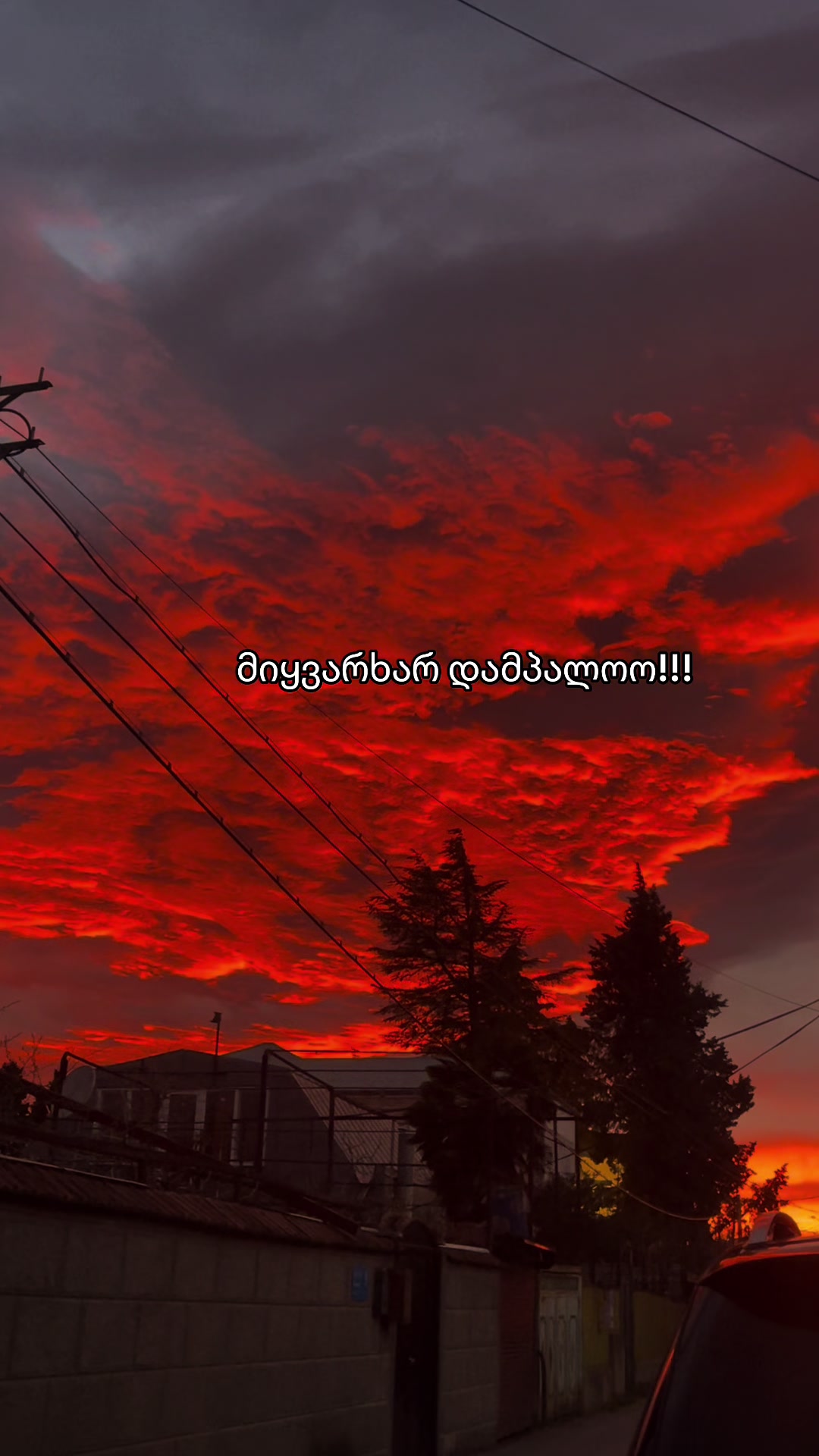 @๐ซแฉแแแ แกแแแงแแ แ๐ซ
