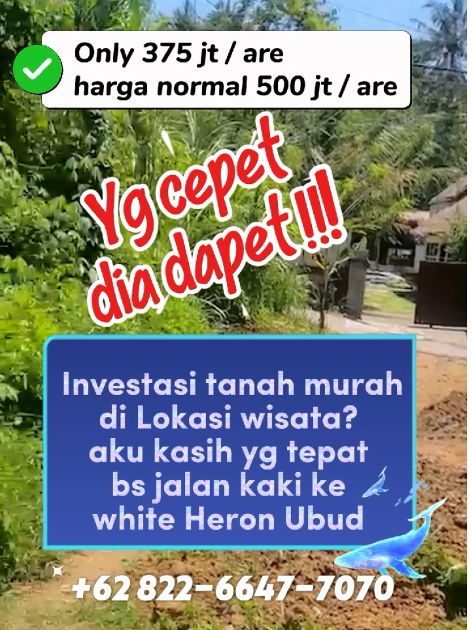 @Nia D Kurnia/PropertyBali