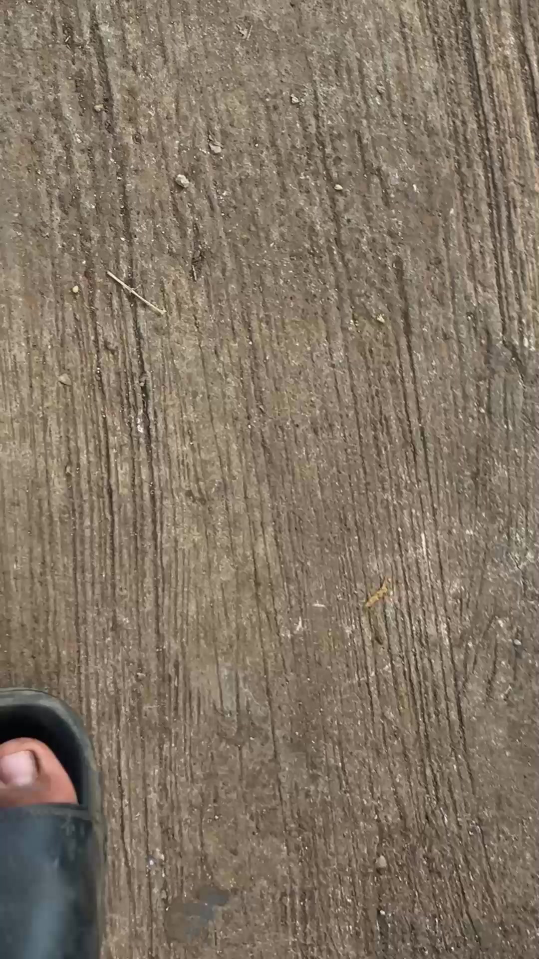 @gagaargaa🤸♀️