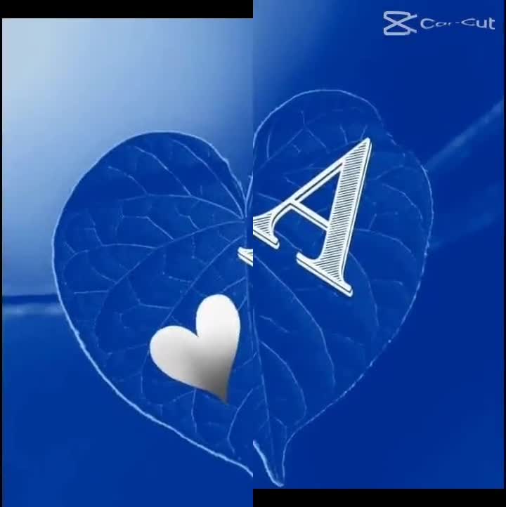 @royalsarkar