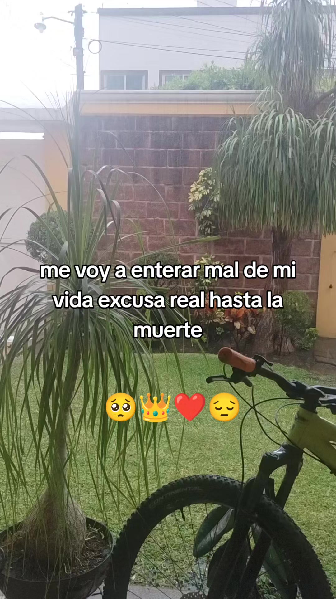 @Isabel Zayas
