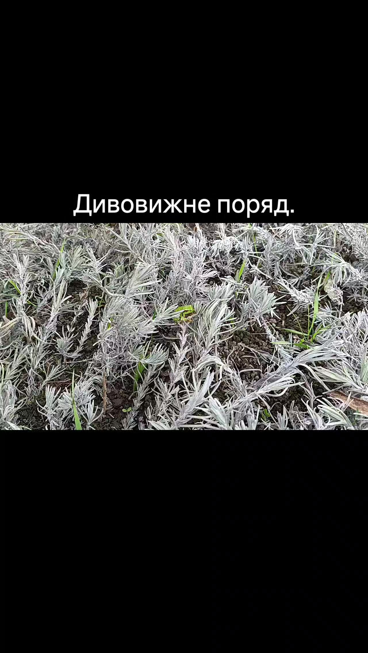 @Олег