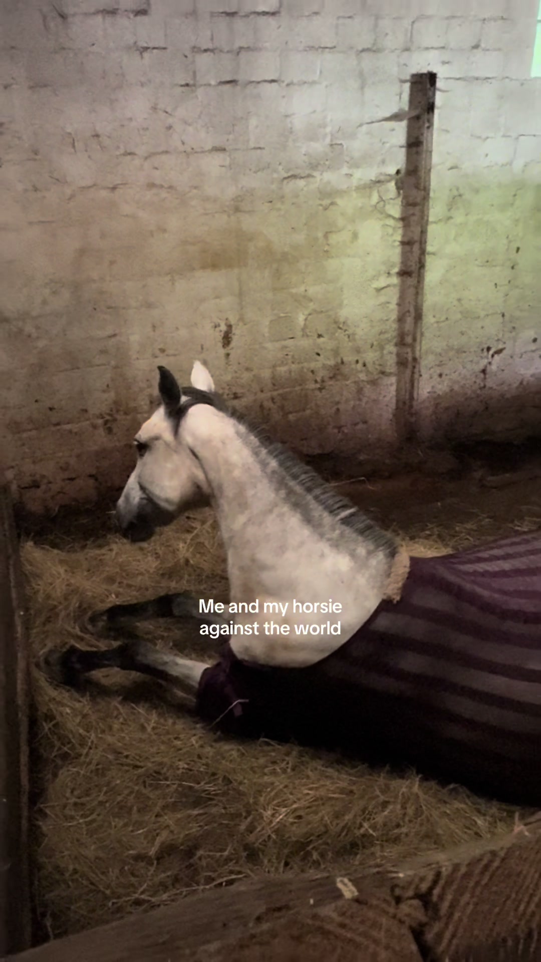 @Marie