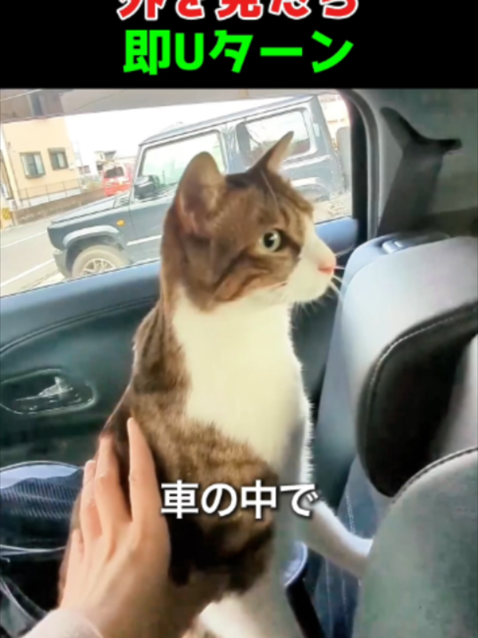 @海外ざんまい