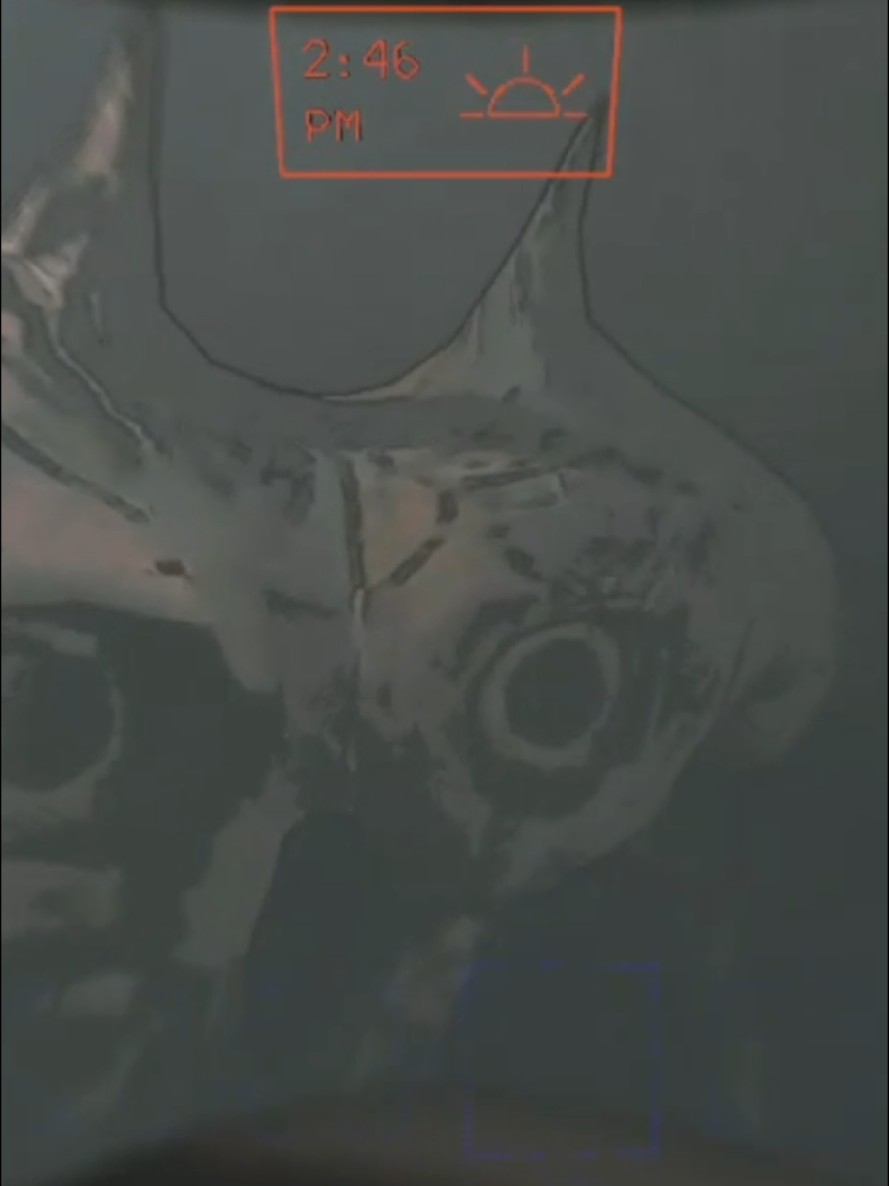 @Sirans0