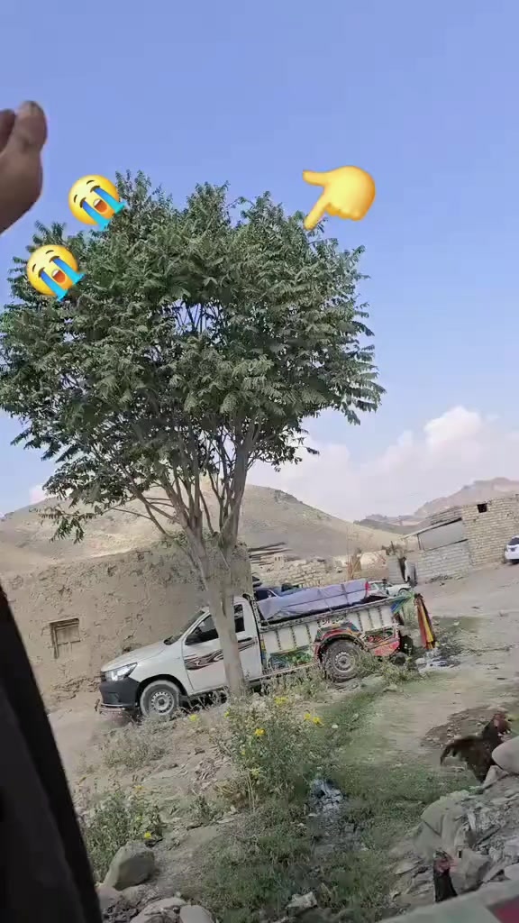 @FarhadJunior17