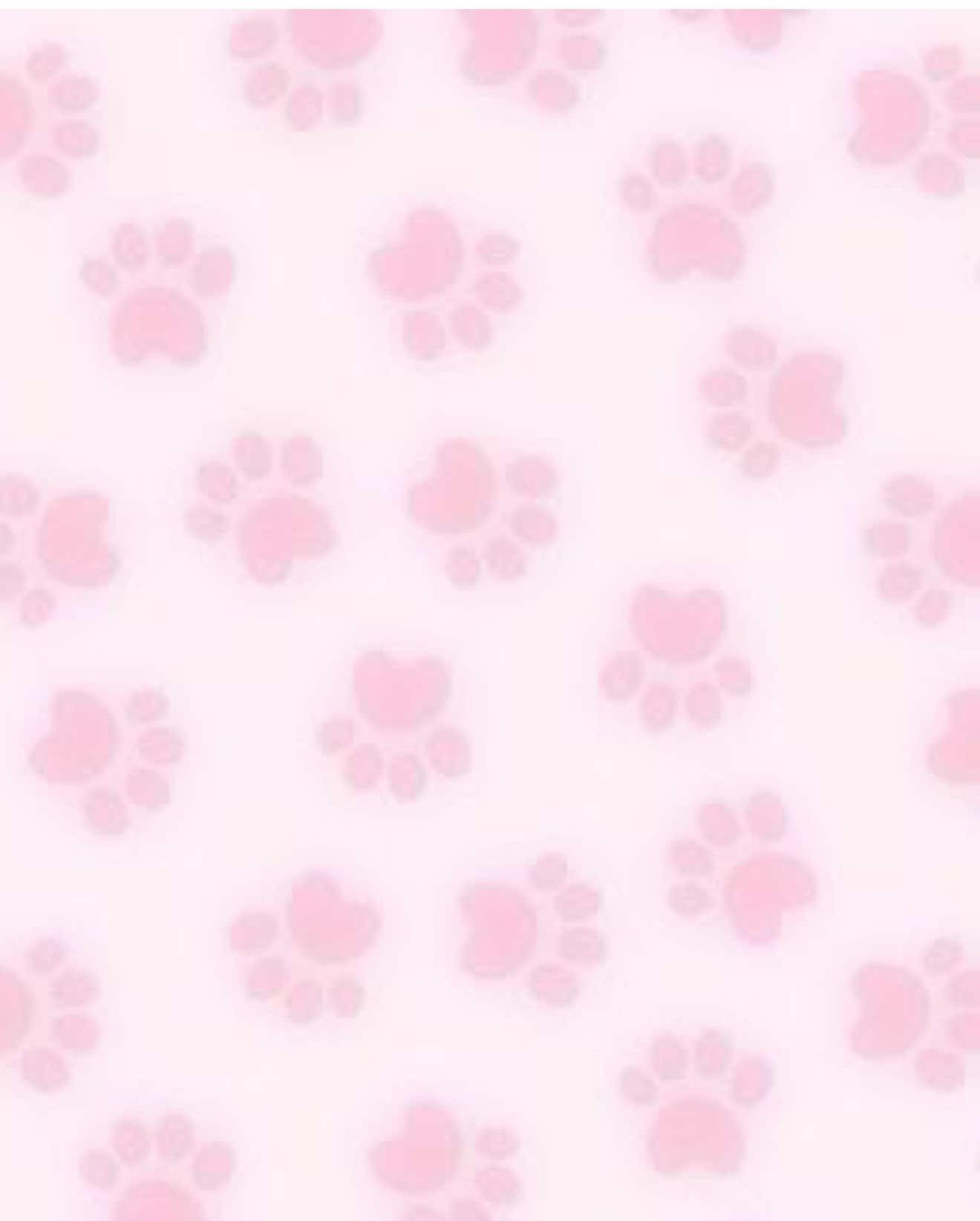 @૮₍ ´ ꒳ `₎ა