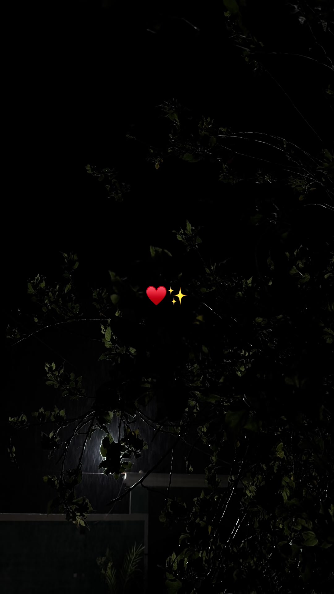 @بلوقر إيمان🇸🇦