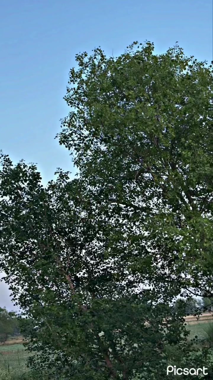 @گاندھی گروپ 🥷🏻🙌🏻