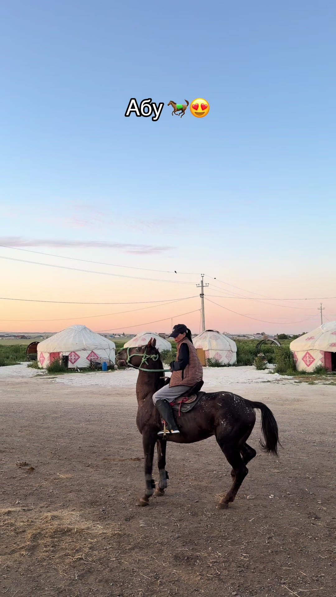 @NAZEKA🐎