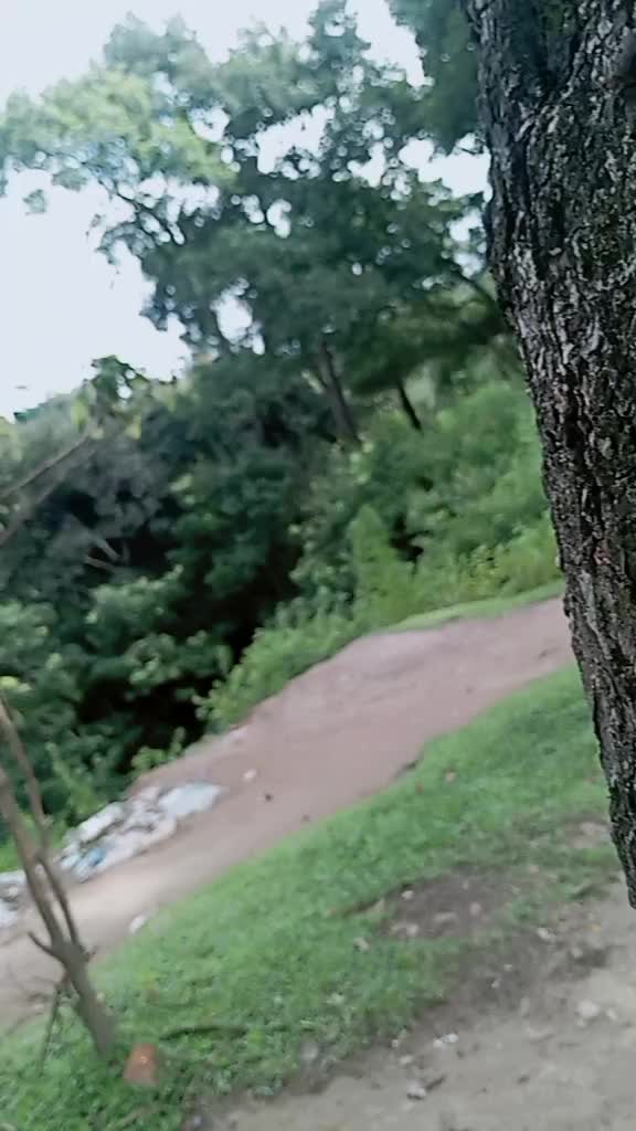 @✔︎✔︎✔︎🇽 🇦 🇵 🇷 🇮 ✔︎✔︎✔︎