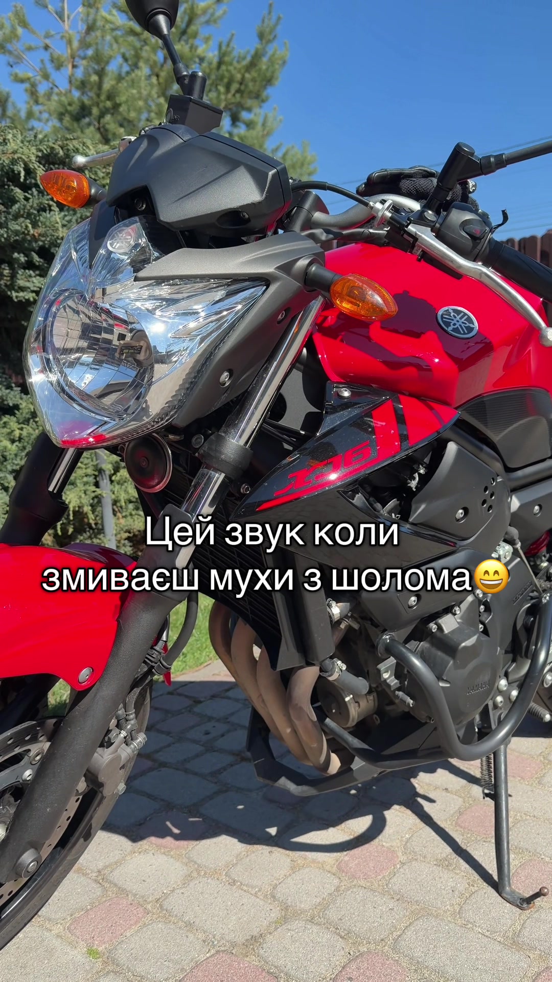 @koshel_ka 😈