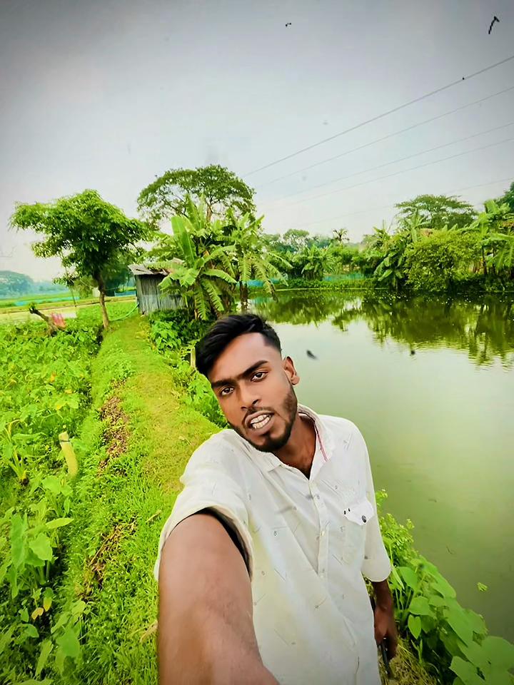 @banglavai4