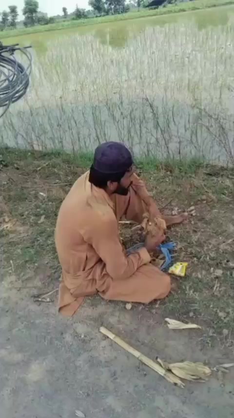 @M Ajmal