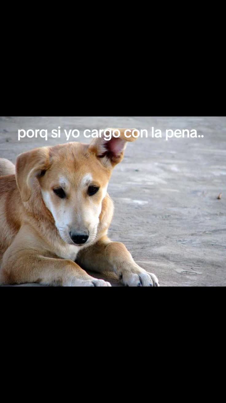 @★nel dice hola★