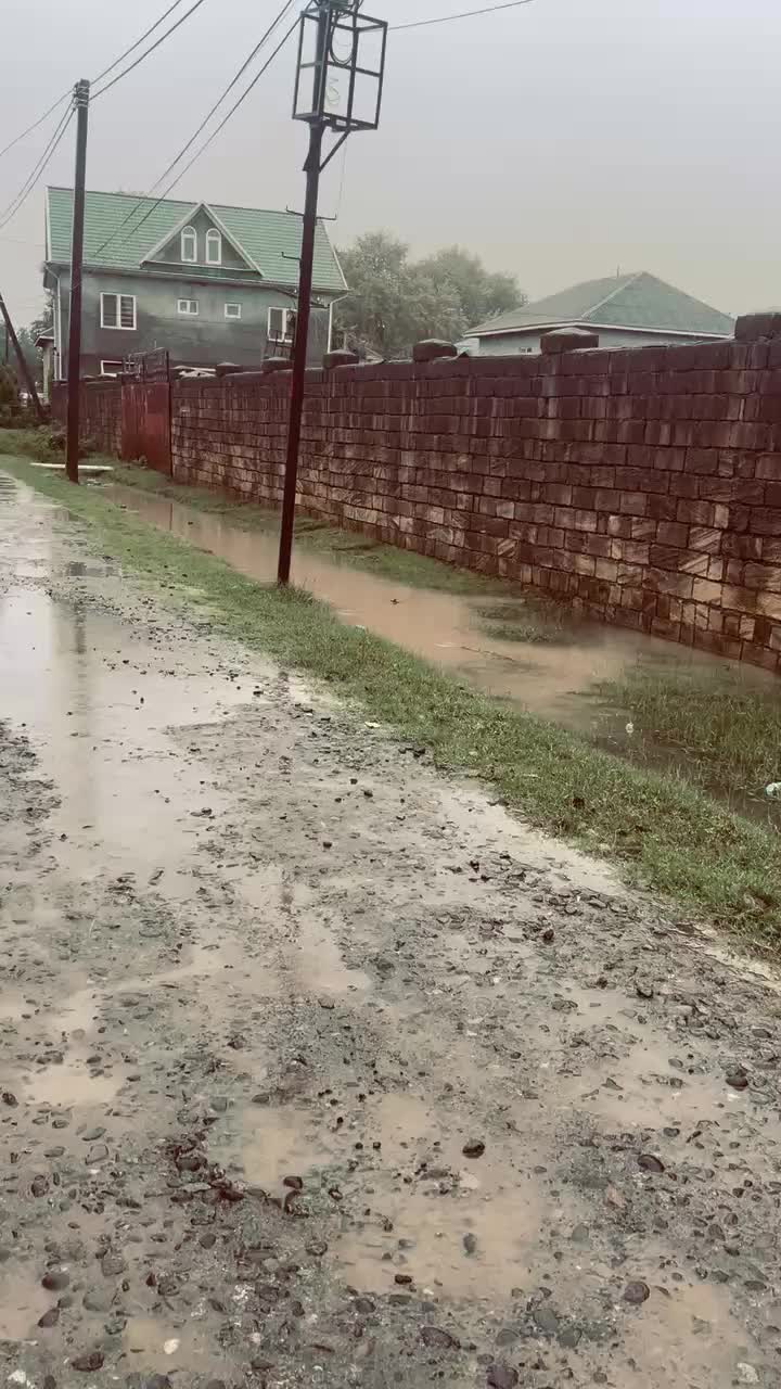 @Taliş