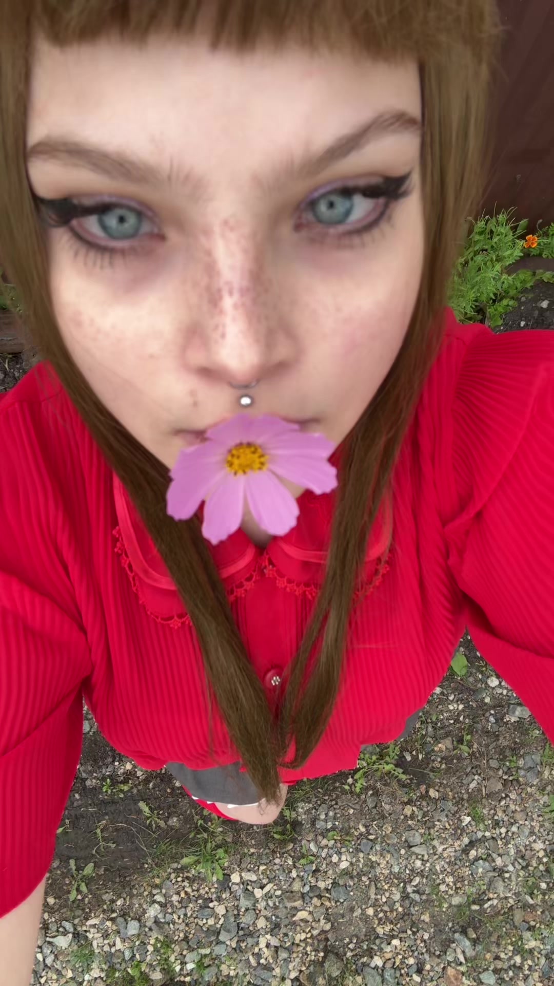 @belfegor