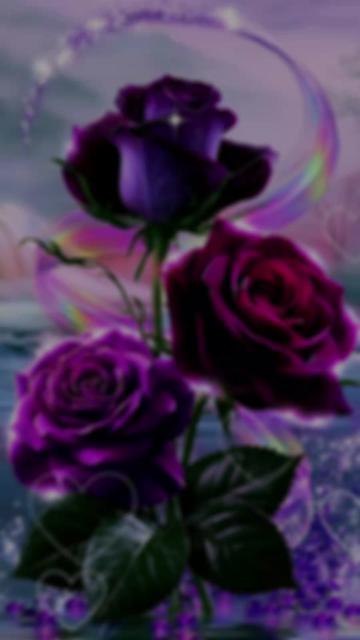 @🌹🦋Moni🦋🌹