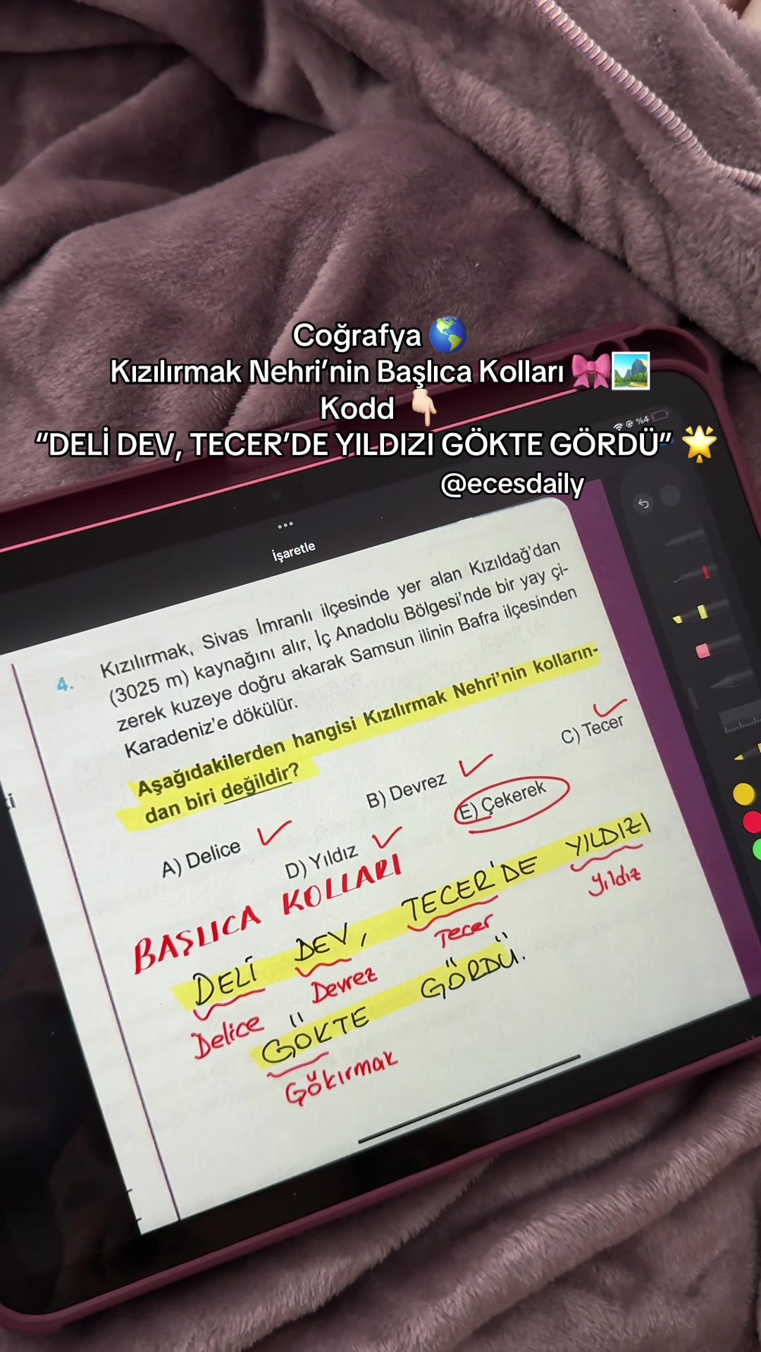 @ecesdaily