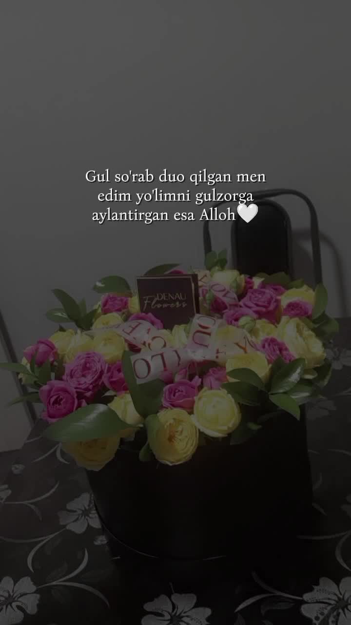 @❤️Z@R@❤️