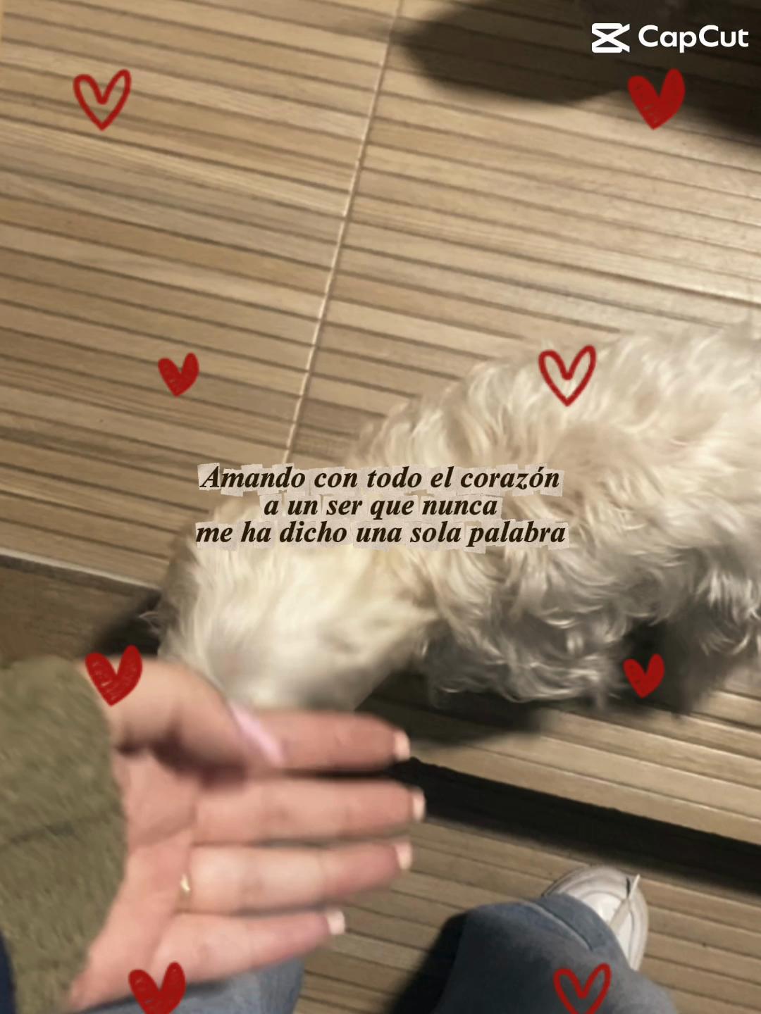 @frida_2