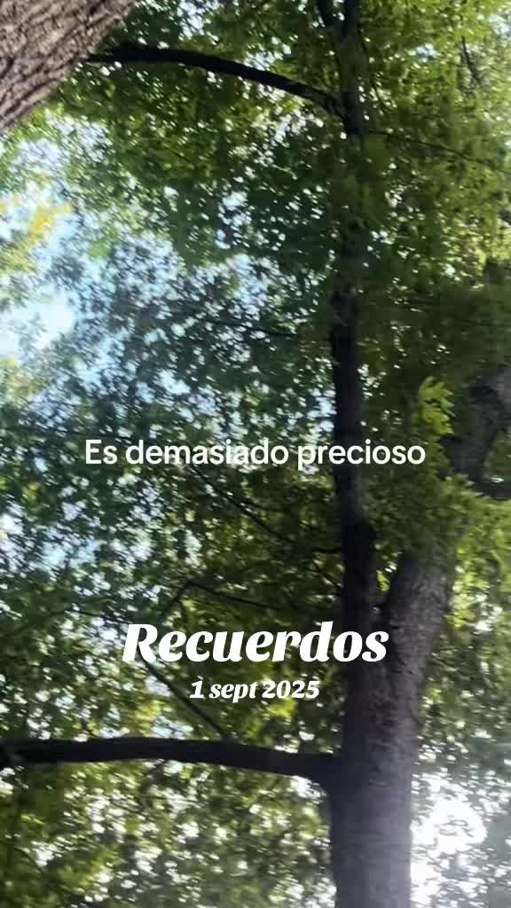 @𝓜𝓪𝓻𝓰𝓪𝓻𝓪.𝓞𝓯𝓲𝓬𝓲𝓪𝓵✨