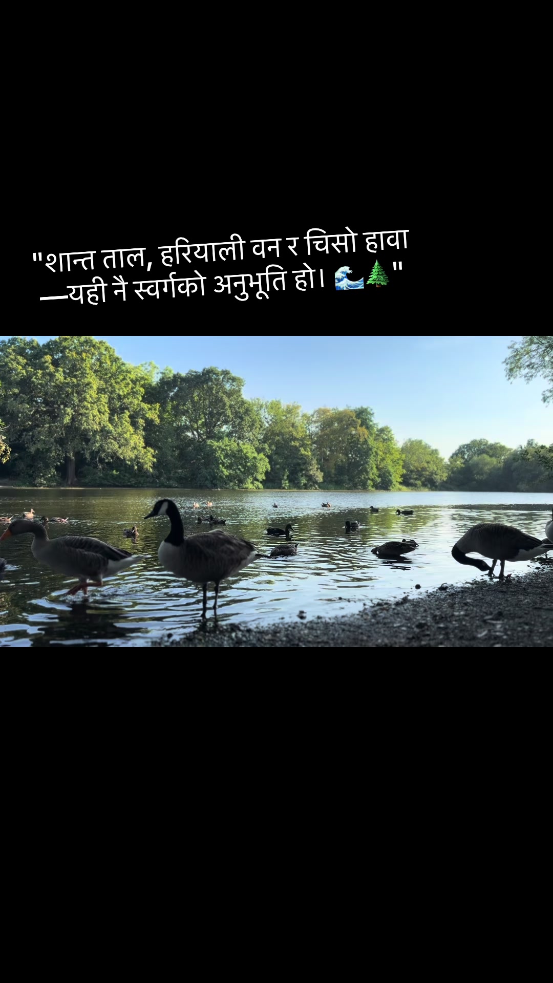 @Sushant Chaudhary