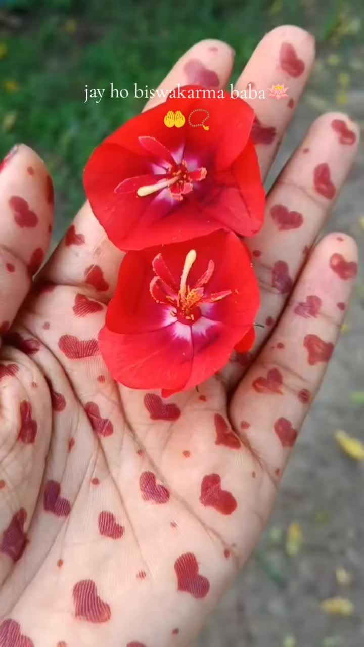 @👑pinky pahari 🍁💚🥀