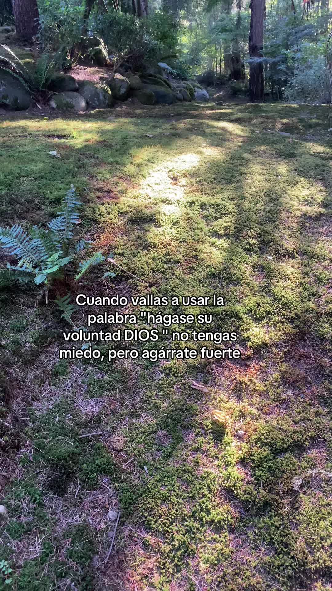 @luisgonzalez1502