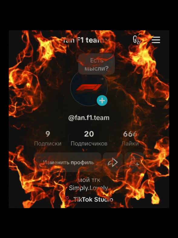 @fan F1 team
