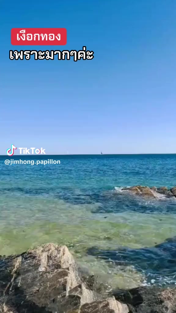 @ดาริกา ออนไลน์
