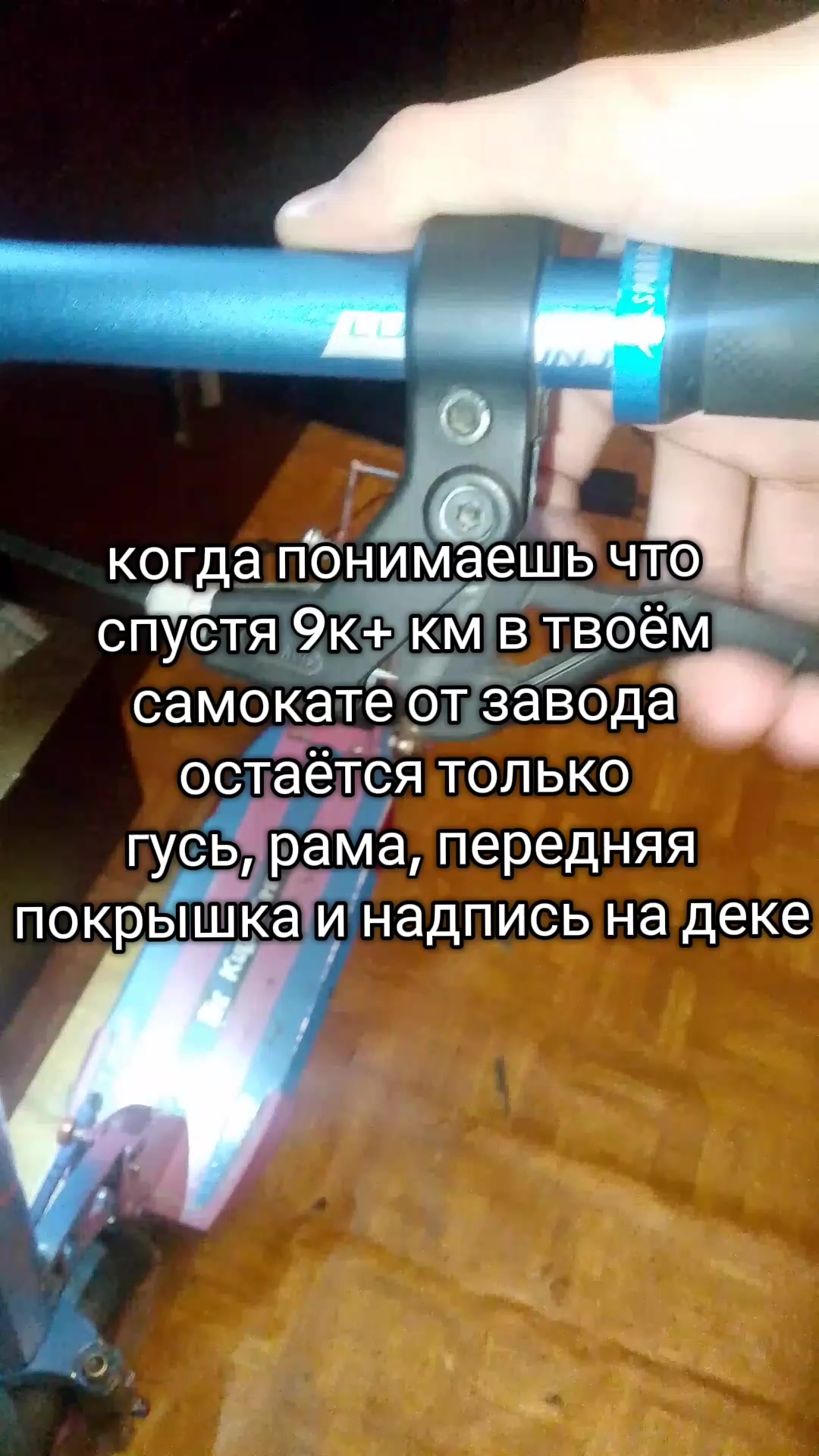 @баблгам чопырь самары
