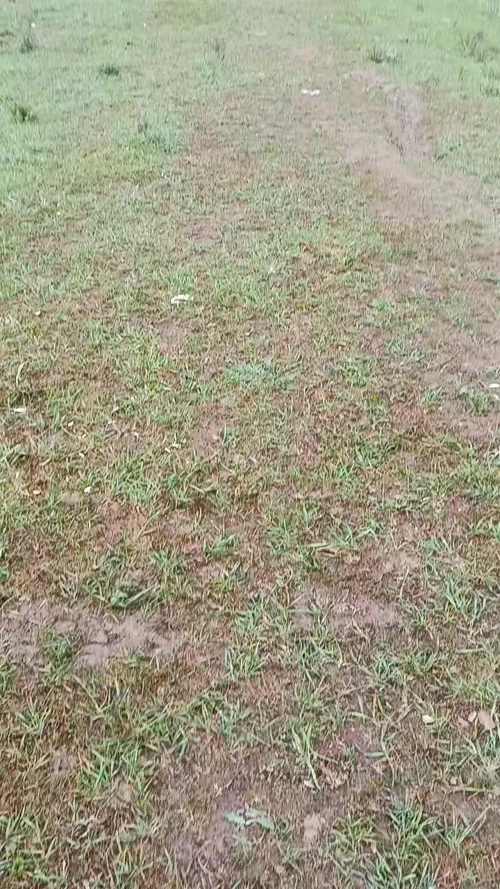 @доверяй
