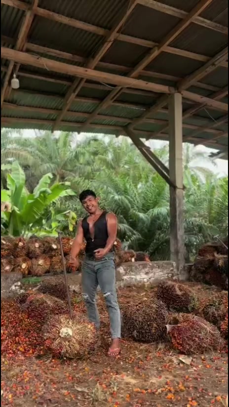 @RAFI kuli SAWET