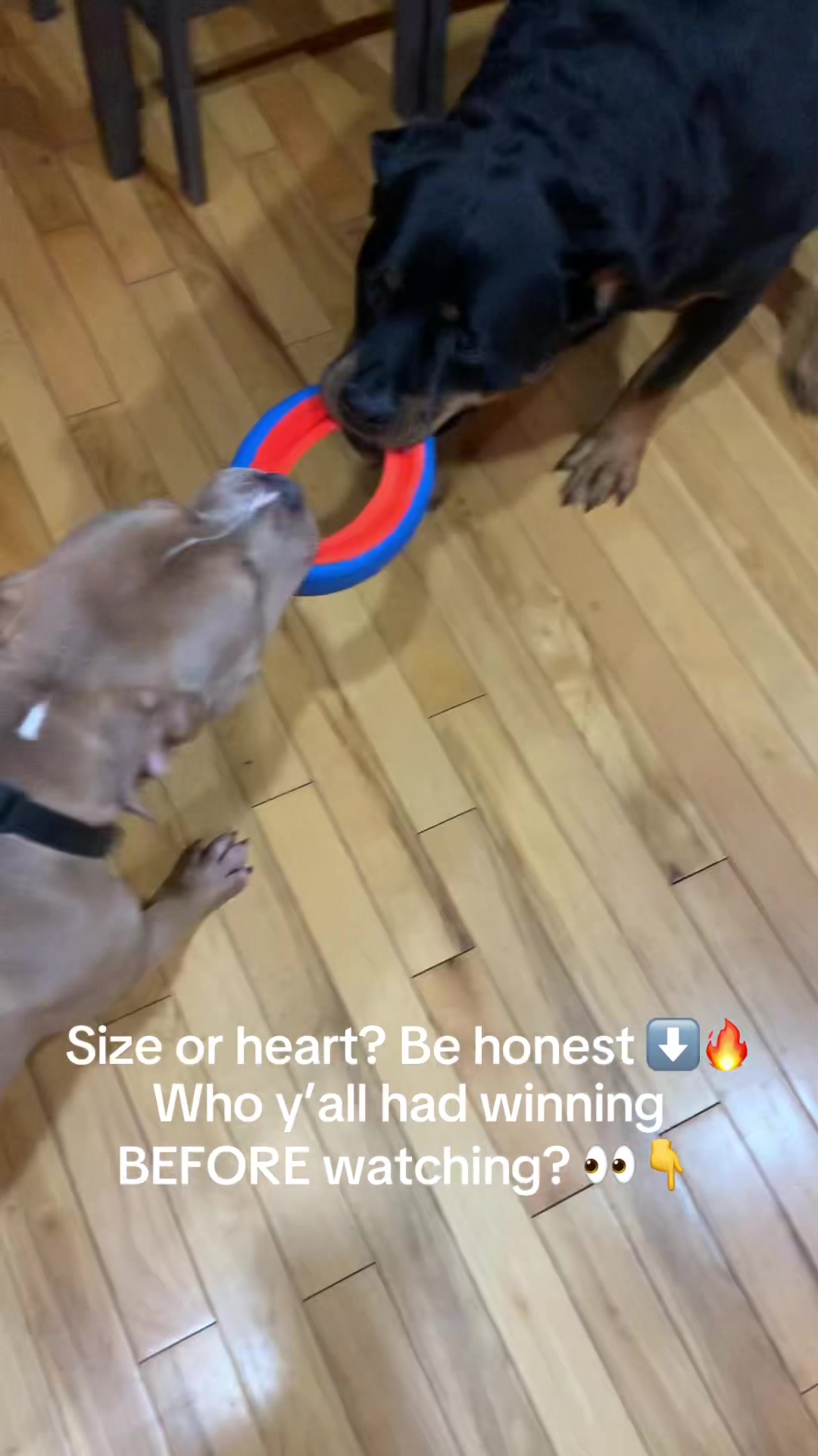 @JustFun