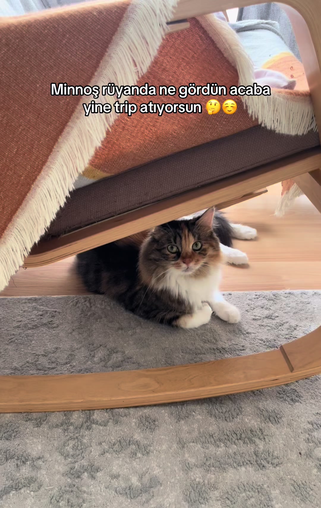 @konusankediminnos