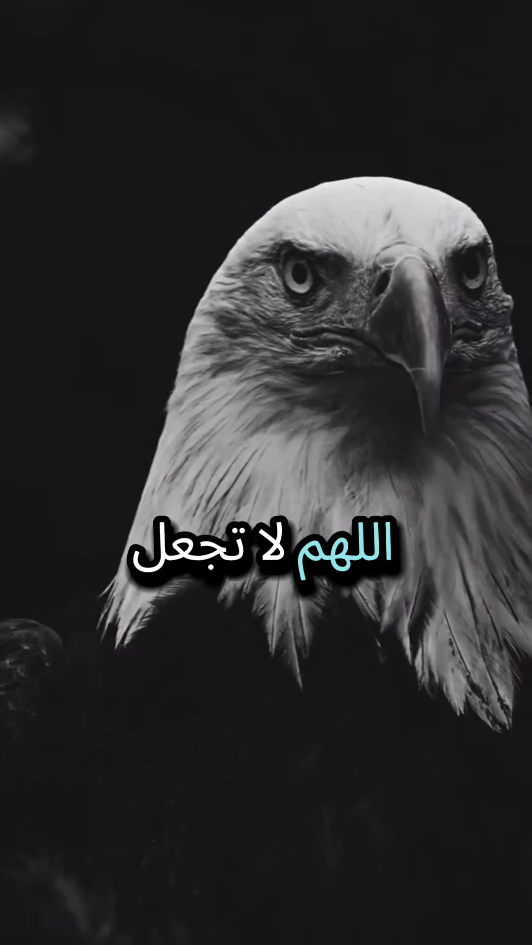 @🇫&nbsp;🇦&nbsp;🇷&nbsp;🇪&nbsp;🇸