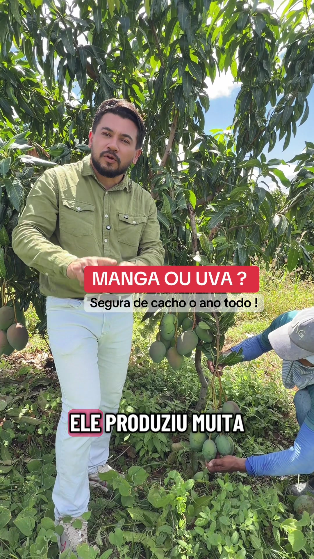 @flavio12inoveagro_oficial