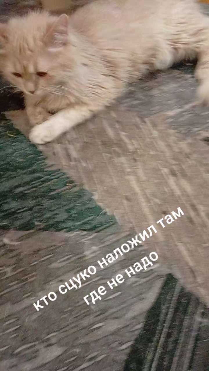 @антон азуевский